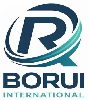Borui International